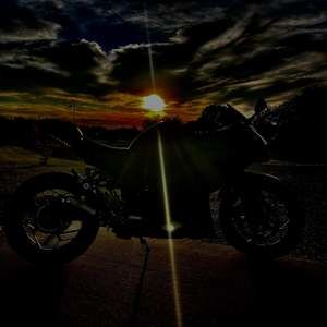 Meet your Posher, Benjamin